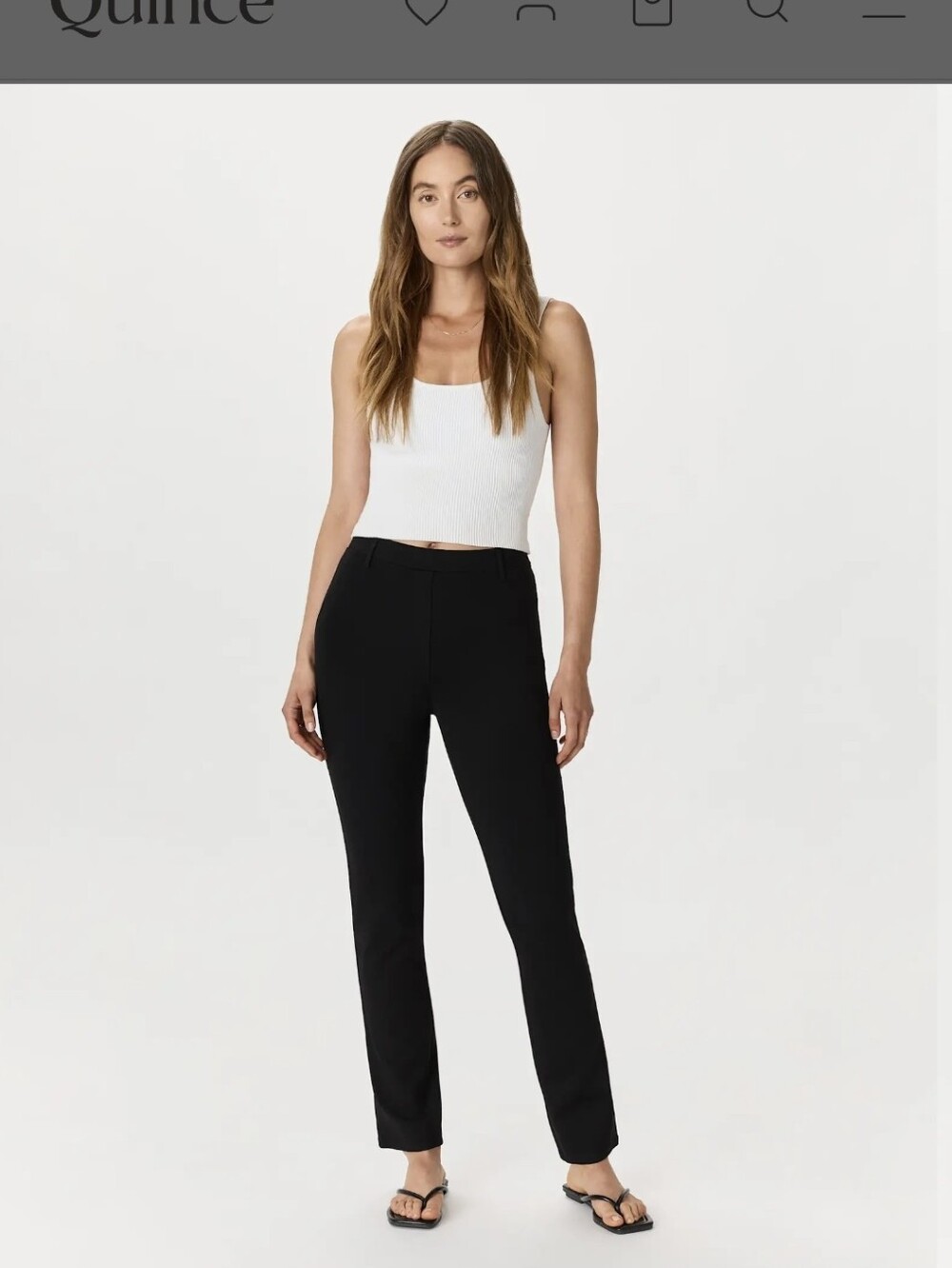 Quince Black Stretch Ponte Straight-Leg Pants Sz.XLP